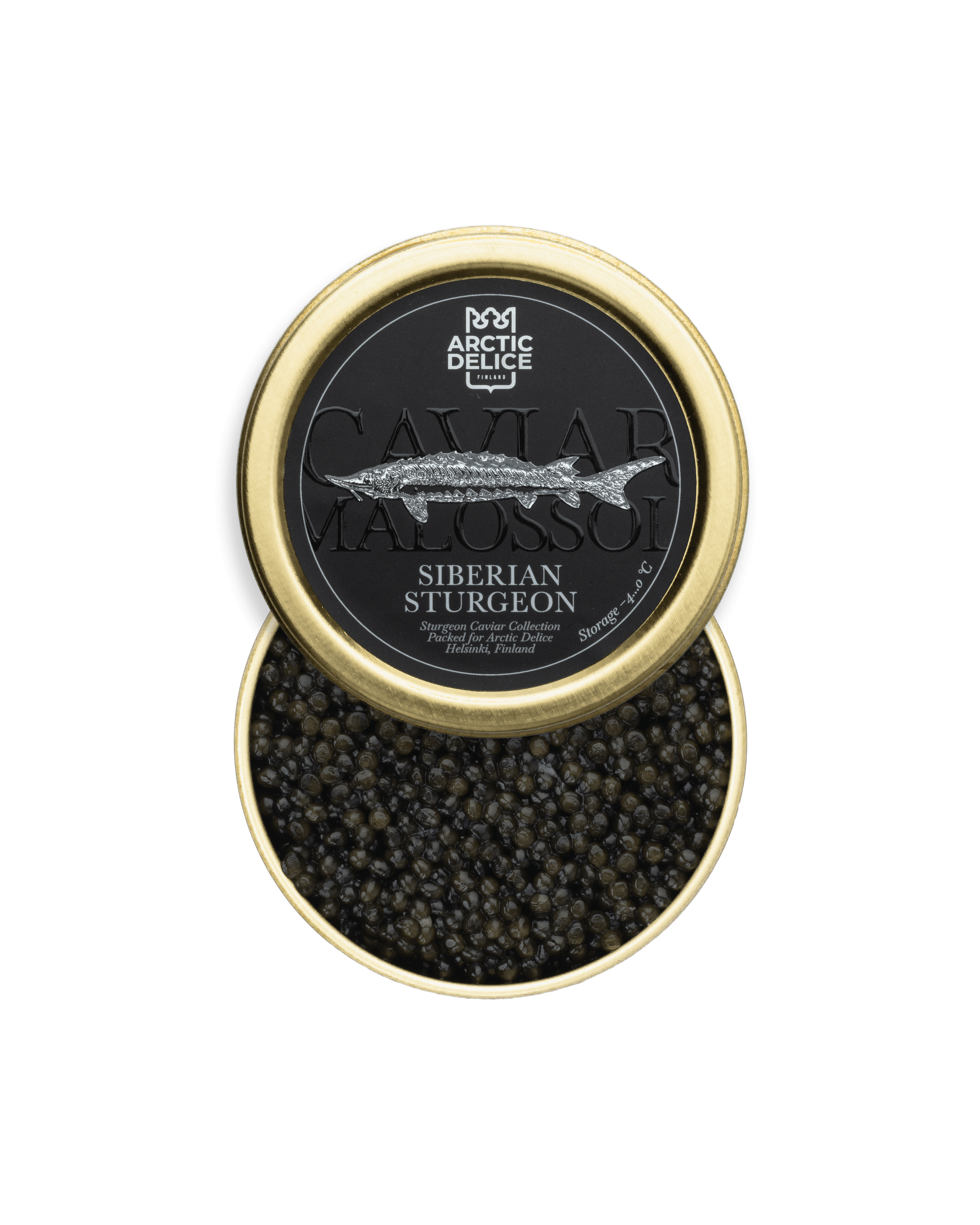 Siberian Sturgeon